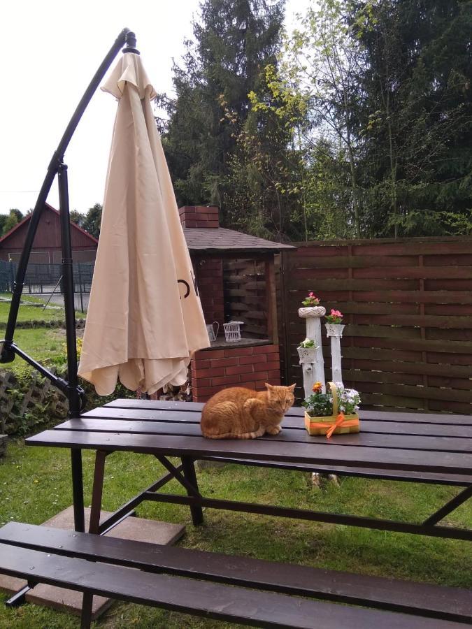 Apartament Nad Szumiacym Potokiem Wilkowice Екстериор снимка